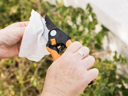 Anti-Pest Hack with Orange Peels 03
