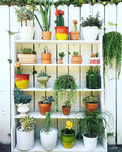 DIY Plant Shelfie 2