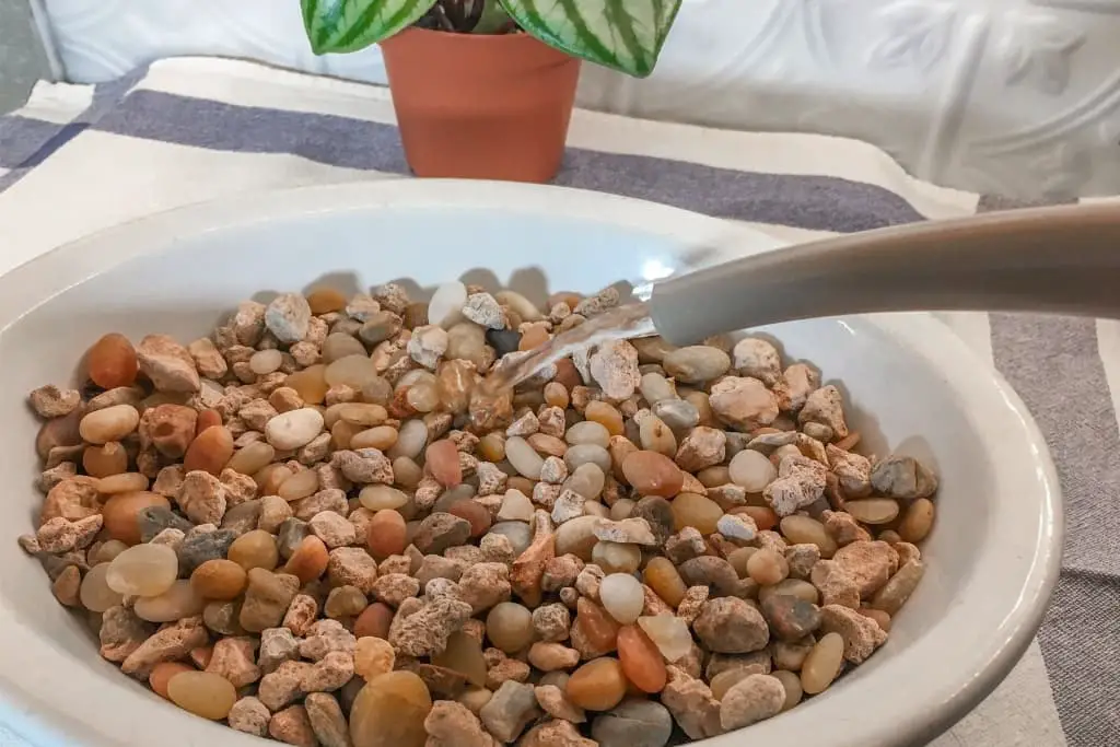 How to Make a Pebble Tray for Houseplants to Increase Humidity 2