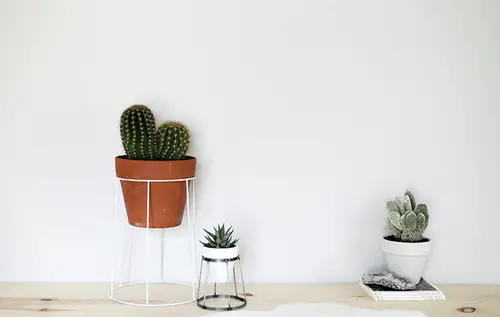 DIY Plant Shelfie Ideas 4
