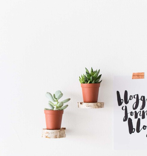 DIY Plant Shelfie Ideas 11