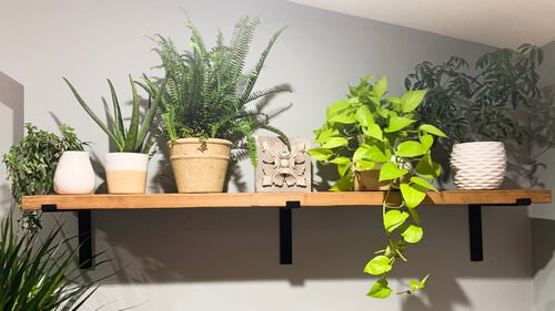 DIY Plant Shelfie 18