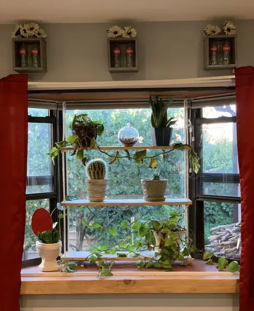 DIY Plant Shelfie 20