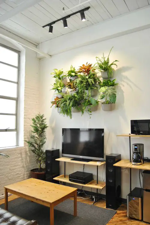 How to Grow Houseplants in Room 07