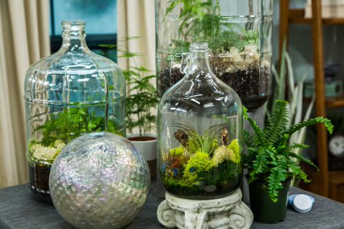 DIY Closed Terrariums 1