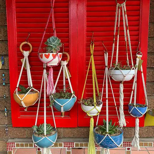 Classic Hanging Basket Plant Idea 1