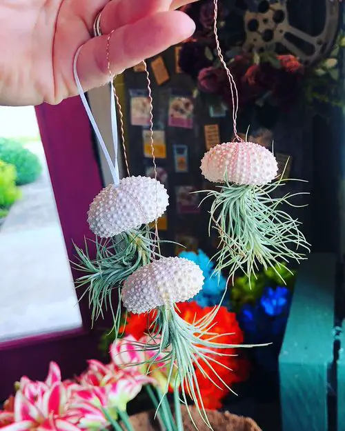 Classic Hanging Basket Plant Idea 15