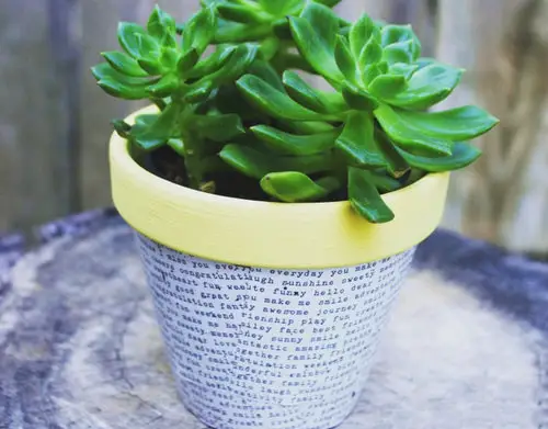 Best Decoupage Terracotta Pots 18