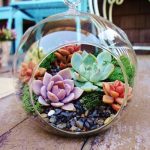 Hanging Basket Ideas for Garden 18