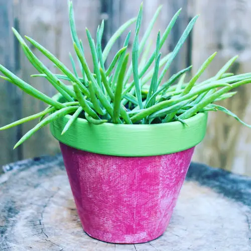 Best Decoupage Terracotta Pots 17