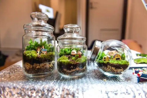 Unbelievable Sealed Bottled Gardens Ideas 2