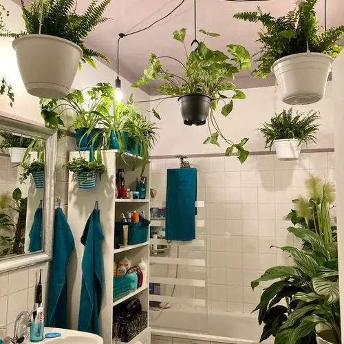 Bathrooms Turned into Incredible Indoor Gardens 12