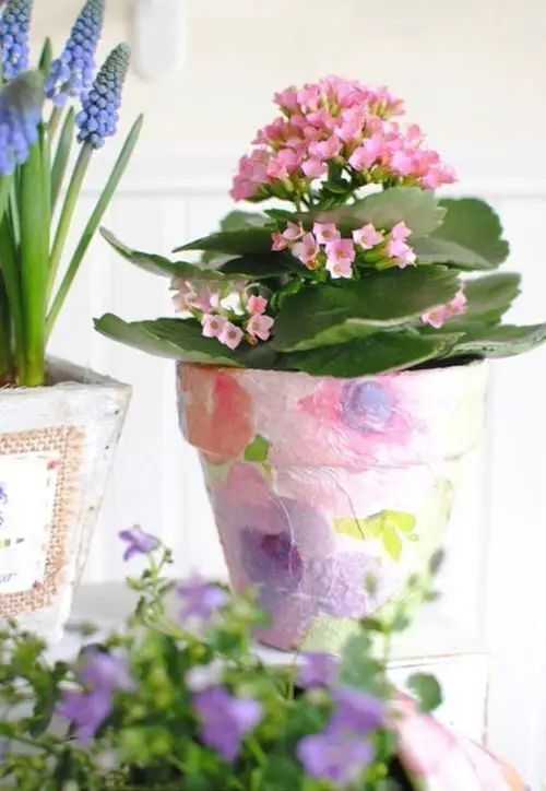 Best Decoupage Terracotta Pots 21