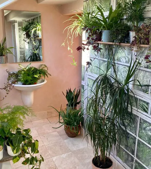 Plants in a Luxury Bathroom 31
