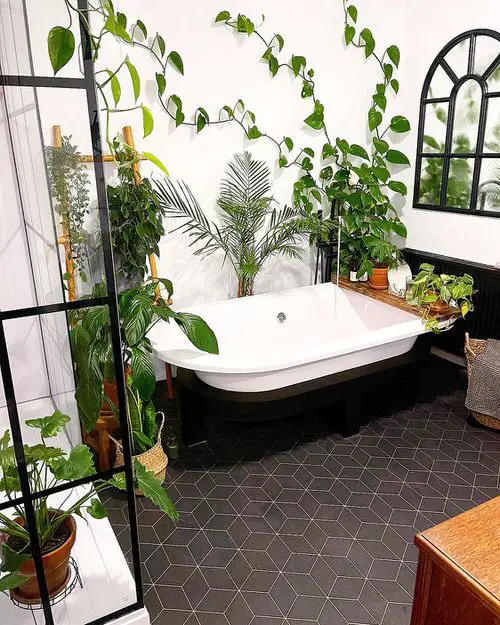 Plants in a Luxury Bathroom 15