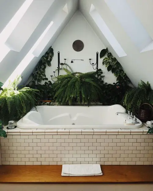 Plants in a Luxury Bathroom 33