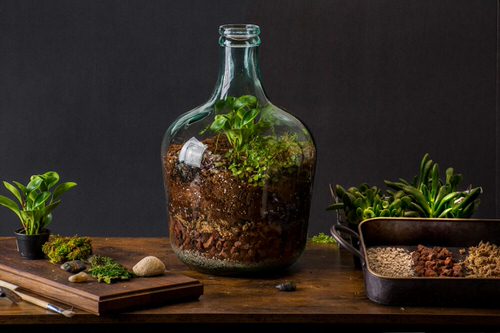  DIY Closed Terrariums 3