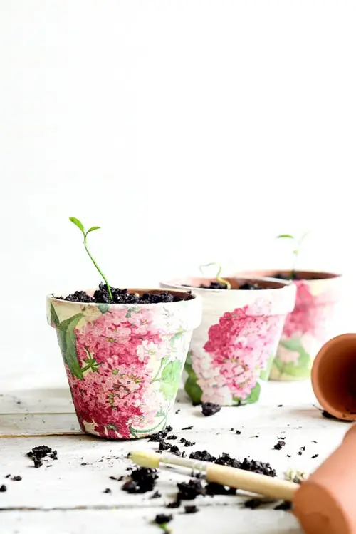 Best Decoupage Terracotta Pots 8