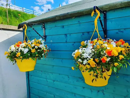 Hanging Basket Ideas for Garden 8