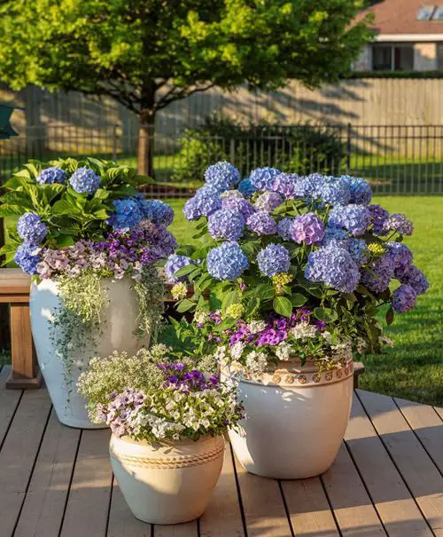 Increase Curb Appeal Using Plants idea 4