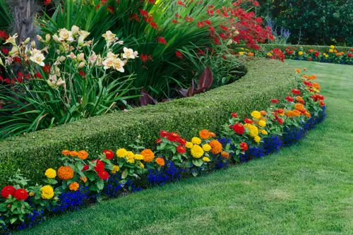 Increase Curb Appeal Using Plants idea 12