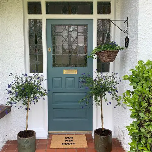 Increase Curb Appeal Using Plants idea 2
