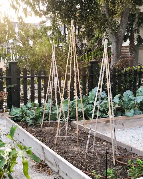  Building a Garden Ladder and Trellis3