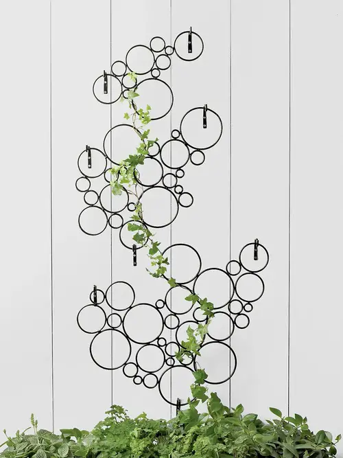 Stylish DIY Ladder and Trellis Ideas 10