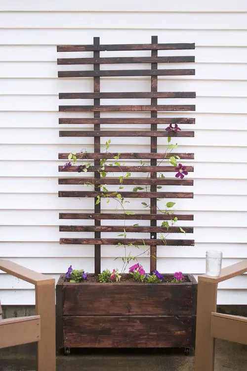 DIY Ladder & Trellis Ideas for Houseplants 4