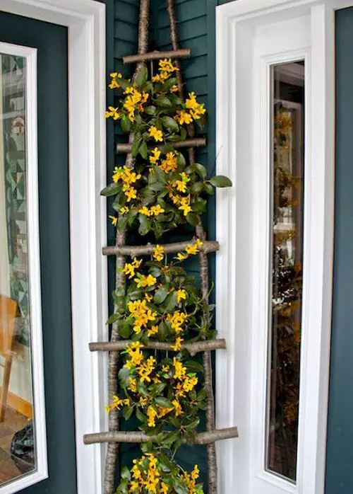 Stylish DIY Ladder and Trellis Ideas 5
