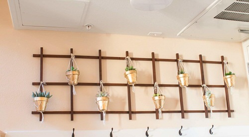Stylish DIY Ladder and Trellis Ideas 15
