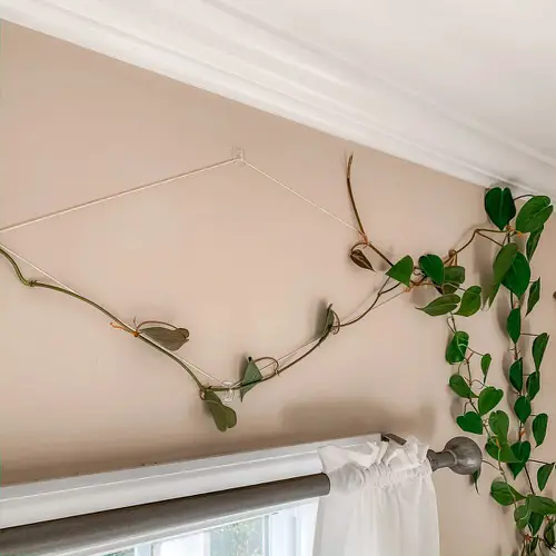 Stylish DIY Ladder and Trellis Ideas 19