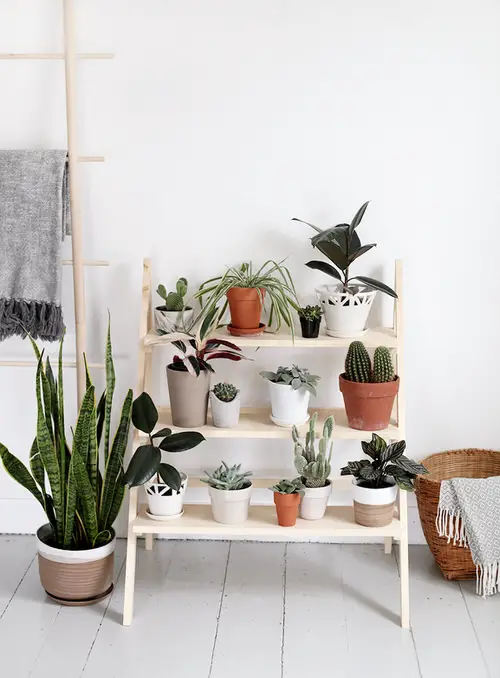 Stylish DIY Ladder and Trellis Ideas 18