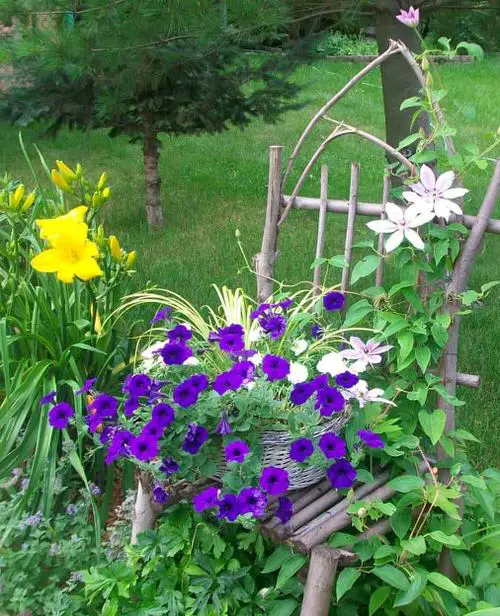 DIY For Making Garden Ladder and Trellis2