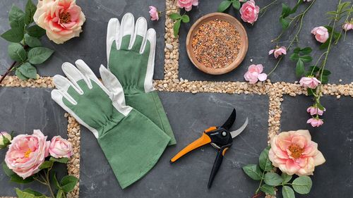 How to Prune Roses Like Master Gardeners 88