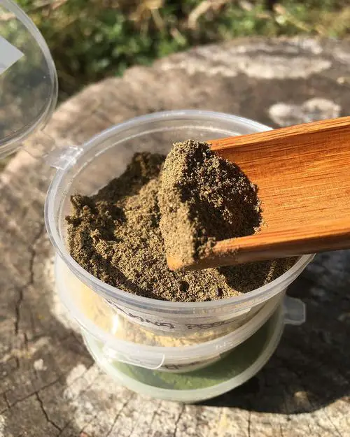 Put these 10 Things in Your Rose Planting Hole for More Flowers 2