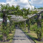  Pergolas in the Gardens image 3