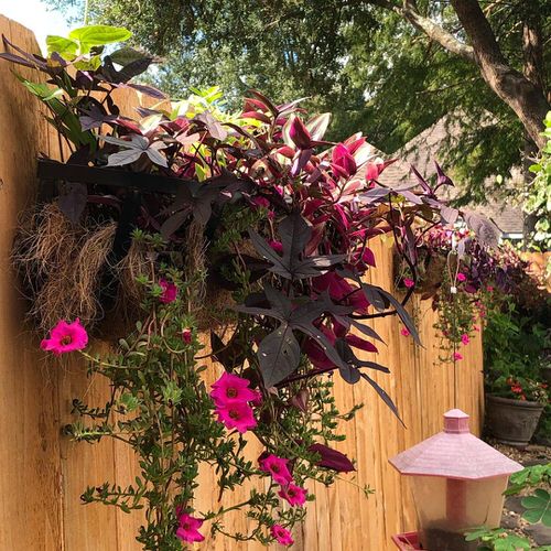Fence Planters for privacy 34