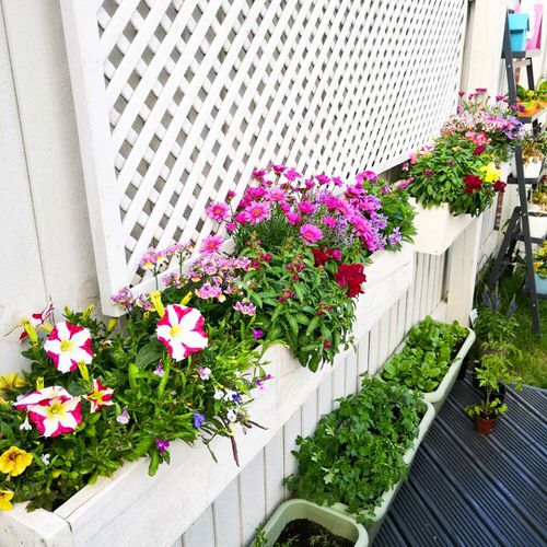 Fence Planters for privacy 16