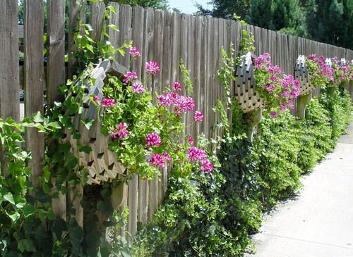 Fence Planters for privacy 10