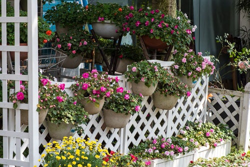 Fence Planters for privacy 8