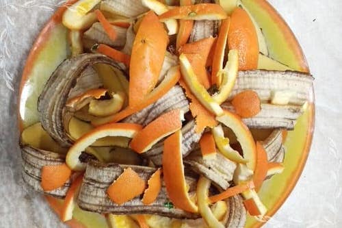 DIY Fertilizer Recipes from Food Scraps & Kitchen Leftovers 15