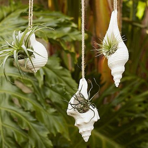Hanging Basket Ideas for Garden 16