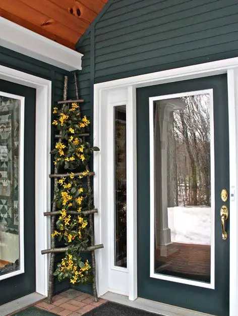A Do-It-Yourself Garden Ladder and Trellis