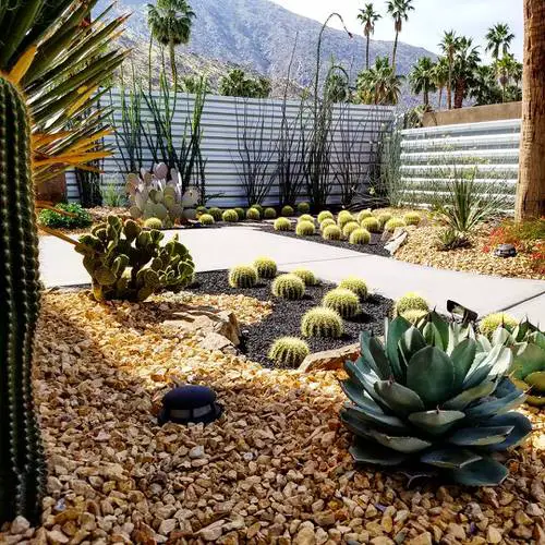 Inexpensive Desert Landscaping Ideas Pictures 3