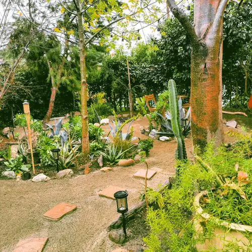 Inexpensive Desert Landscaping Ideas Pictures 9