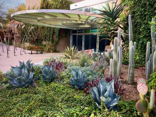 Inexpensive Desert Landscaping Ideas Pictures 11