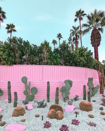 Desert Landscaping Ideas Pictures 6