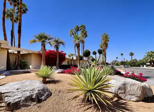Desert Landscaping Ideas Pictures 14