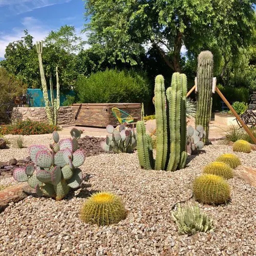 Desert Landscaping Ideas Pictures 16